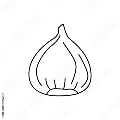 Chestnut icon in line style icon, isolated on white background