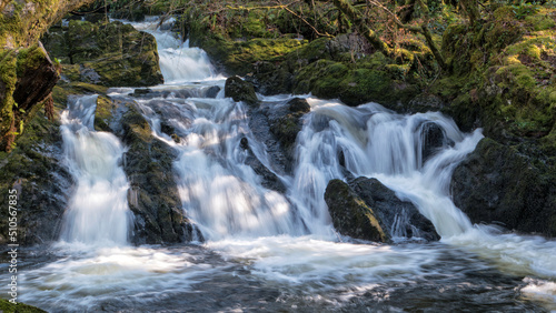 Fototapeta Naklejka Na Ścianę i Meble -  Waterfall in Glengarriff Nature Reserve