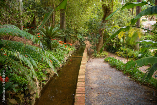 Stream in the beautiful historical botanical garden of the Conception of Malaga  Andalucia  Spain