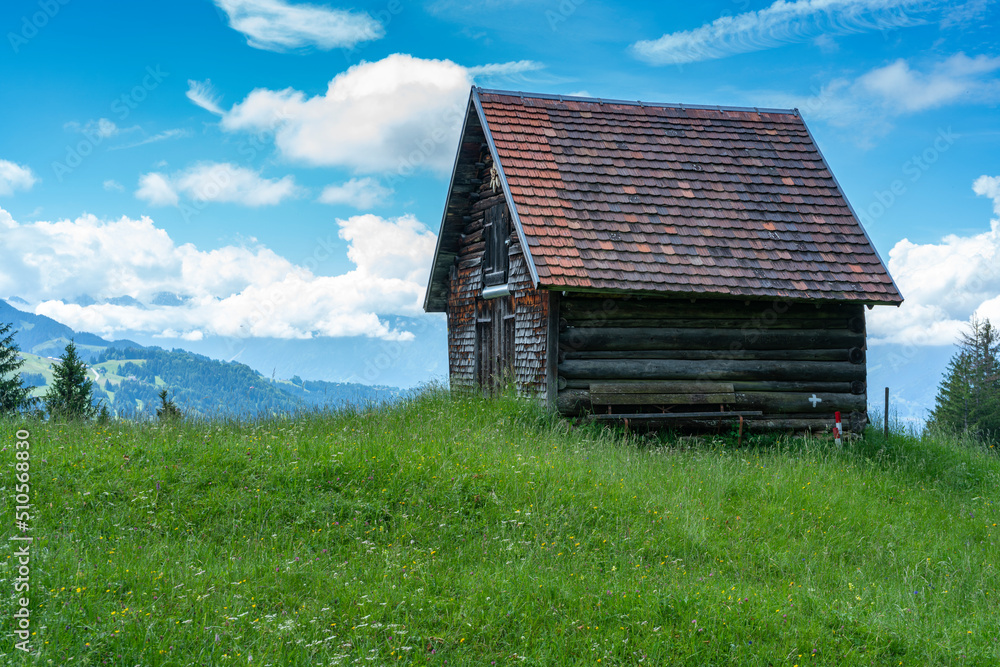 Obraz premium alter Heustadel, Hütte auf einem Hügel, Holzschopf am Waldrand, kleines Haus mit Aussicht über das Rheintal. sonniger Tag mit kleinen Wolken