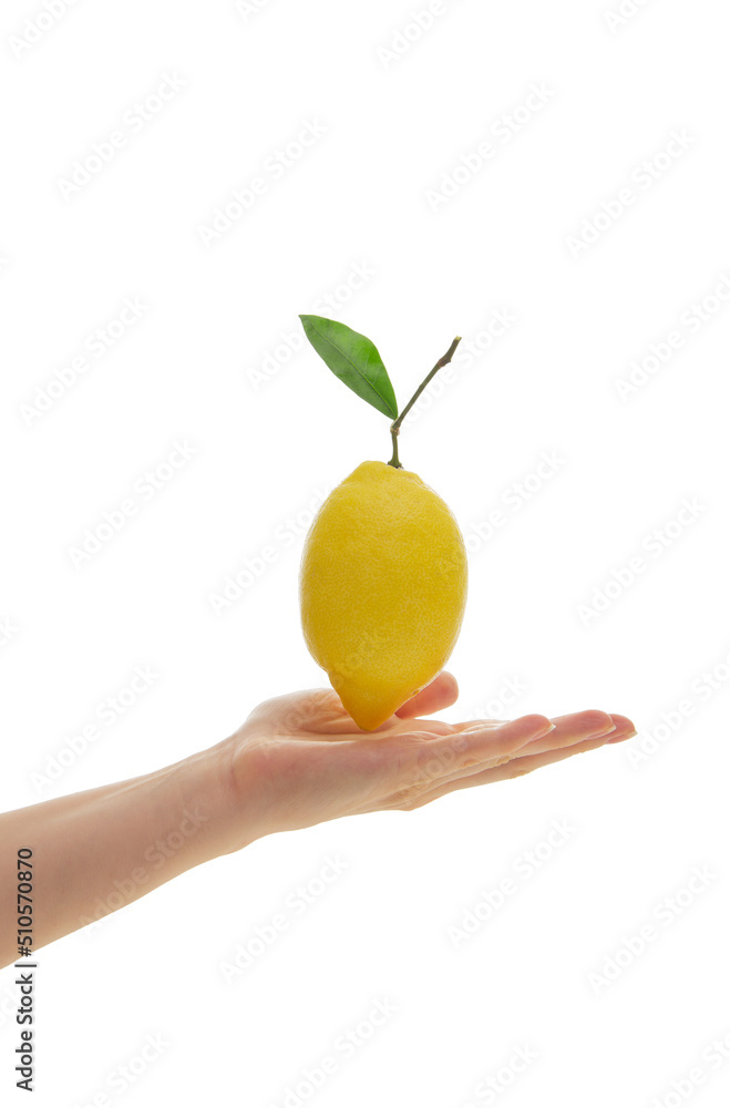 hand holding lemon isolated on white background hand holding lemon isolated on white background