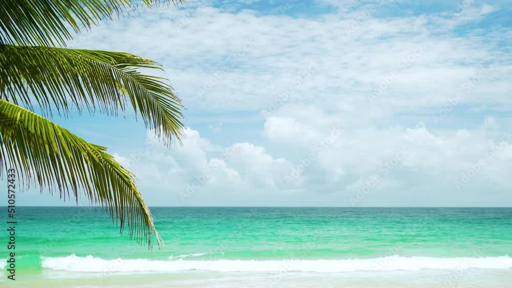 Coconut trees leaf beach tropical sea sand island landscape sunny. Coconut trees leaf beach tropical sea sand island landscape sunny.