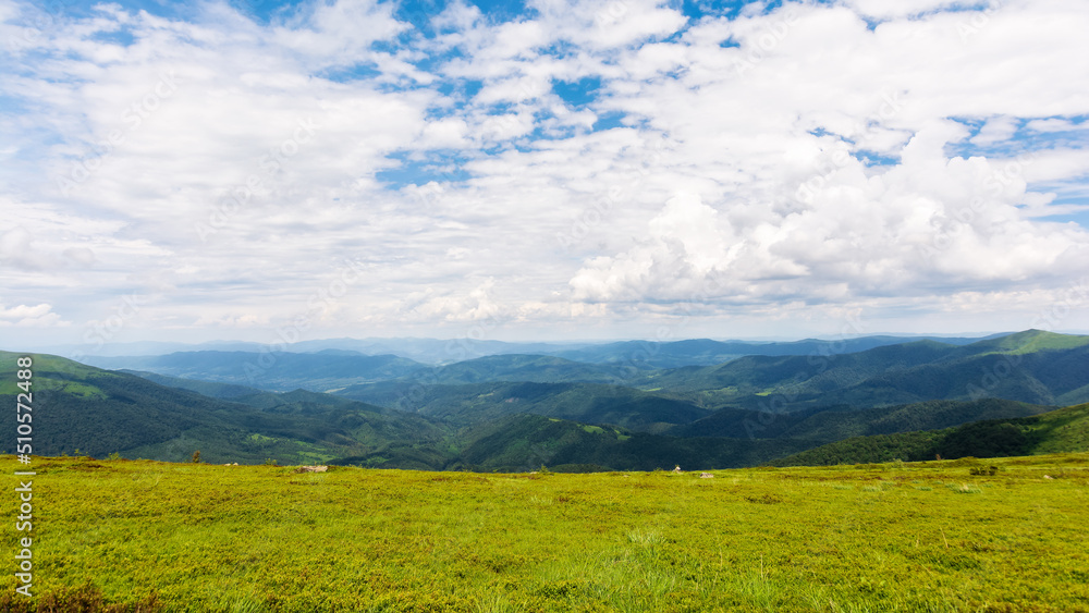 green landscape in dappled light. grassy hills of carpathian mountain scenery on a sunny day. sky with clouds above horizon green landscape in dappled light. grassy hills of carpathian mountain scenery on a sunny day. sky with clouds above horizon