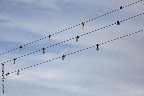 Circular bird scarer on electrical cables near Witsand, Western Cape, South Africa.