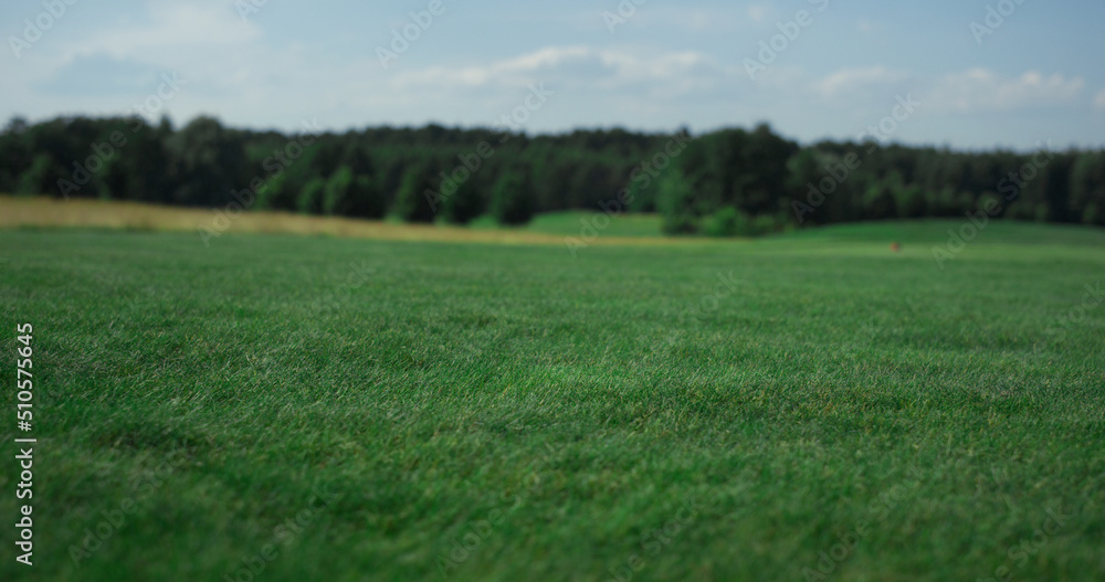 Obraz premium Green golf course grass growing on fairway field. Tranquil landscape concept.