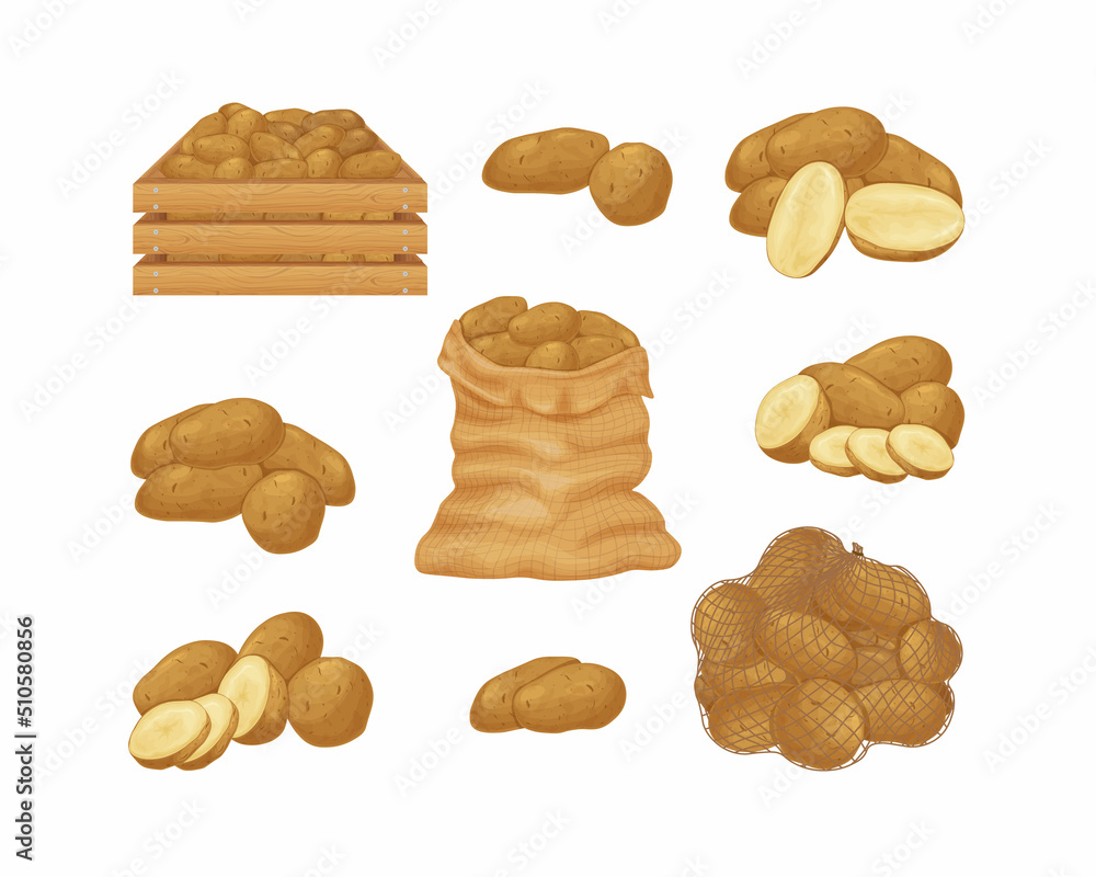 Potato. Image of potatoes in a bag, a box and a mesh bag. Sliced potatoes. Fresh vegetables from the garden. Organic vegetarian products.Vector Potato. Image of potatoes in a bag, a box and a mesh bag. Sliced potatoes. Fresh vegetables from the garden. Organic vegetarian products.Vector