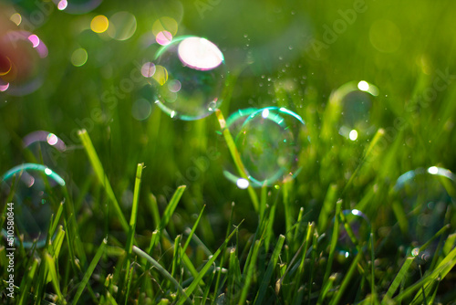 closeup grass and popping bubbles