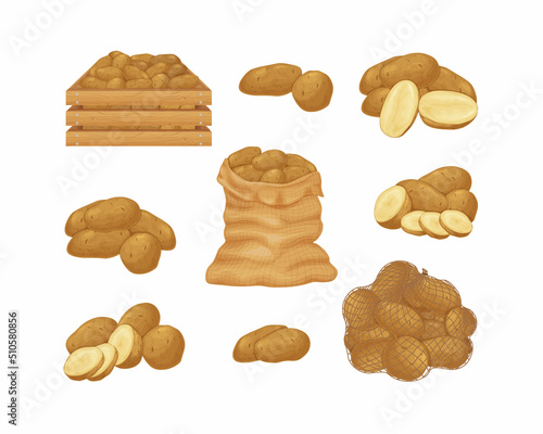 Potato. Image of potatoes in a bag, a box and a mesh bag. Sliced potatoes. Fresh vegetables from the garden. Organic vegetarian products.Vector