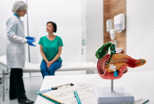 Gastroenterology consultation. Anatomical model of pancreas on doctor table over background gastroenterologist consulting woman patient with gastrointestinal disorders photo