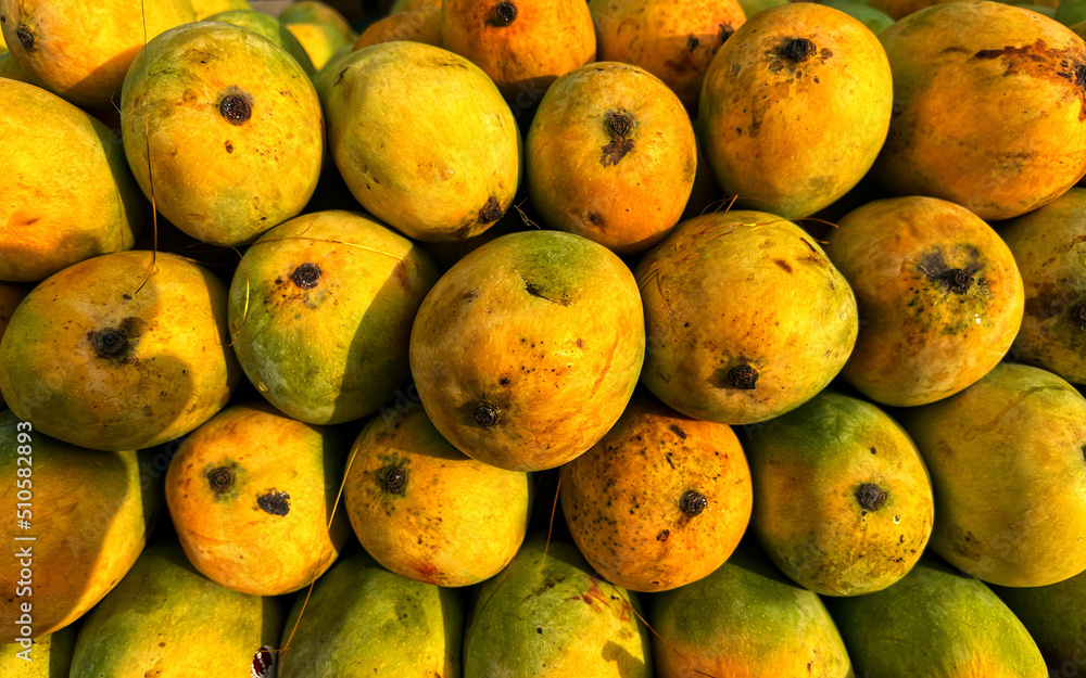 mangoes in group looking beautiful 