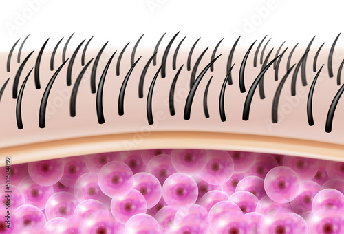 Microscopic view of hair, skin, fat and cell layers. Beauty ads, skin care products, hair care products, shampoo, medical realistic EPS file.