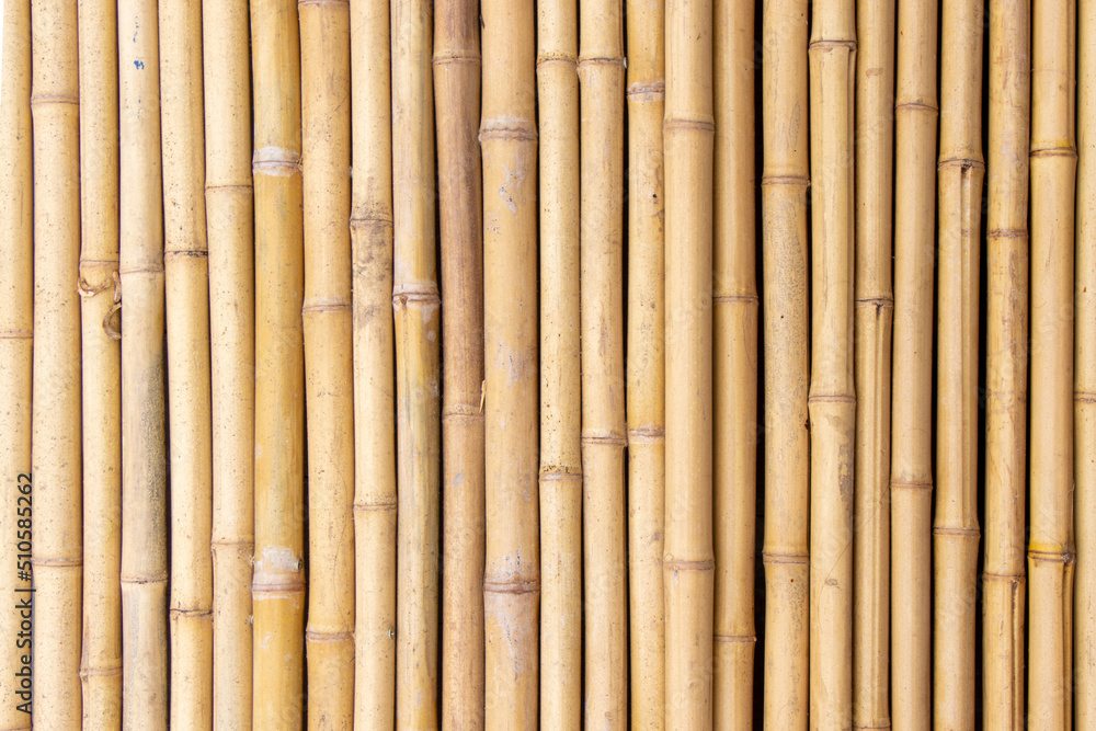 Fototapeta premium The Bamboo trunks surface