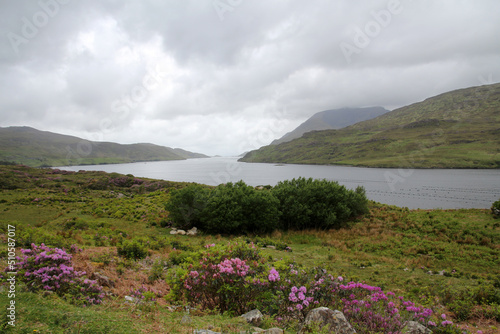 View of the fjord at Killary Harbour, Ireland  photo