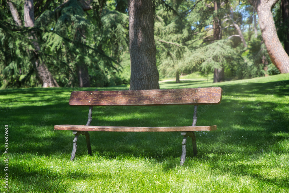 Nice bench in a park on a sunny day. Nice bench in a park on a sunny day.