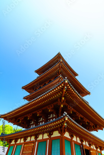 【奈良県】奈良市 薬師寺 © Wakko