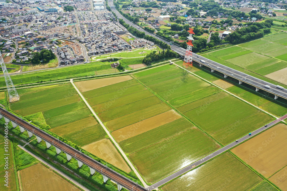 Obraz premium つくばエキスプレスと常磐高速