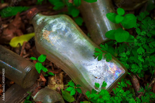 Vintage clear glass bottles laying in the forest surrounded by green leaves.. Photographer Derek Broussard photo