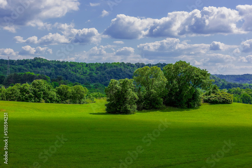 Lush green trees in an open meadow with tree covered hills and a partly cloudy blue sky.. Photographer Derek Broussard