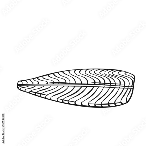 Raw salmon fish outline vector icon. Drawn monochrome seafood fillet, trout fresh steak or red fish.