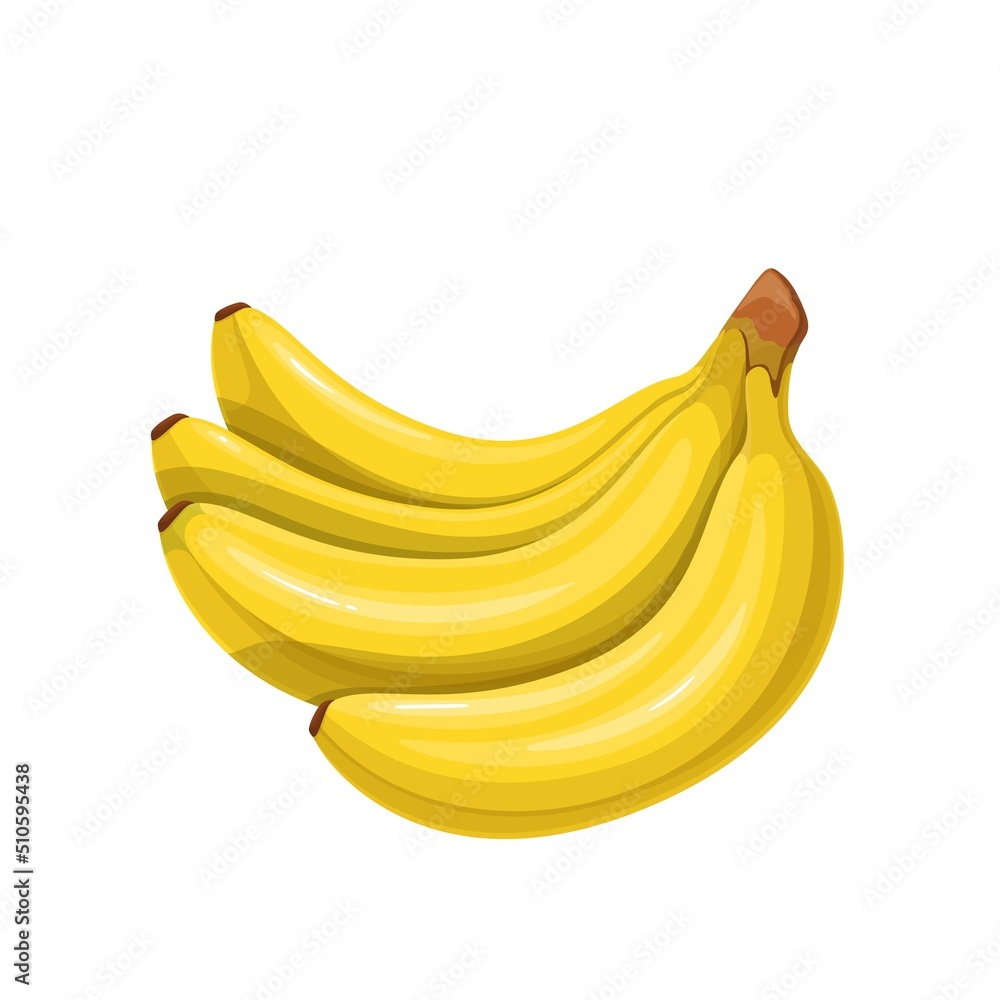 Bunch of bananas for healthy snacks yellow color vector illustration. Exotic tropical banana fruit cluster in cartoon style, isolated