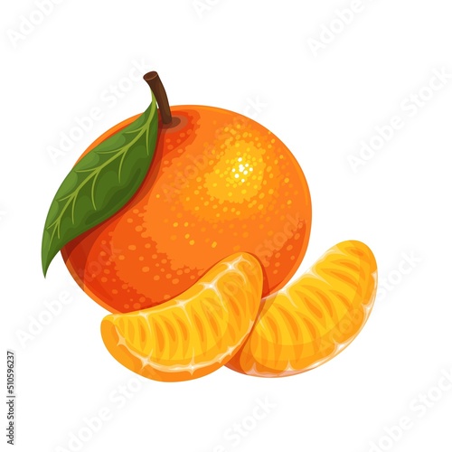 Whole tangerine with leaf and mandarin slices. Citrus fruit vector illustration.