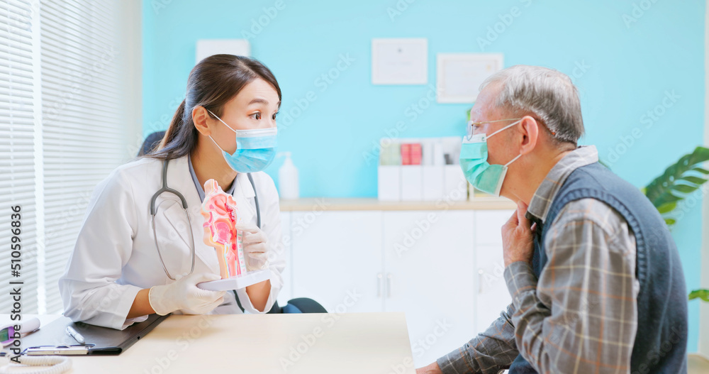 Fototapeta premium doctor explain ENT model