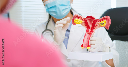 explain uterus model
