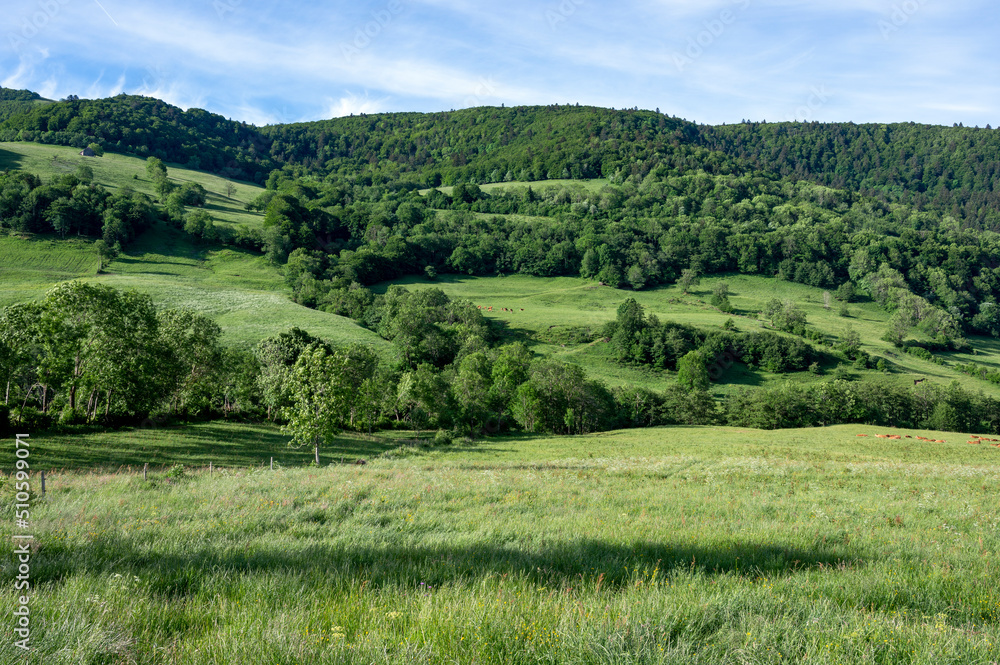 Paysage des Monts du Cantal au printemps en France dans la vallée de La Maronne