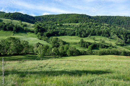 Paysage des Monts du Cantal au printemps en France dans la vallée de La Maronne