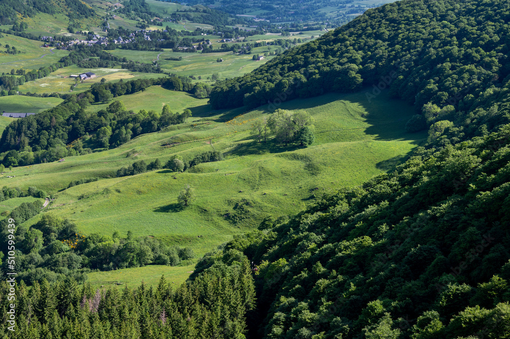 Paysage des Monts du Cantal en Auvergne au printemps dans la vallée de Cheylade en France