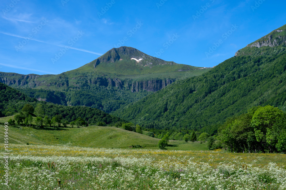 Paysage des Monts du Cantal en Auvergne au printemps dans la vallée de Cheylade en France