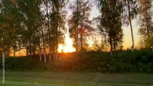 Sunny clear warm summer day. Watch the sunset from the car window in motion. Drive along the forest belt during sunset. Sunset through the trees.