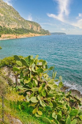 Scenery with sea and trees