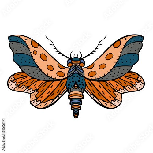 Night butterfly, moth. Hand drawn vector illustration