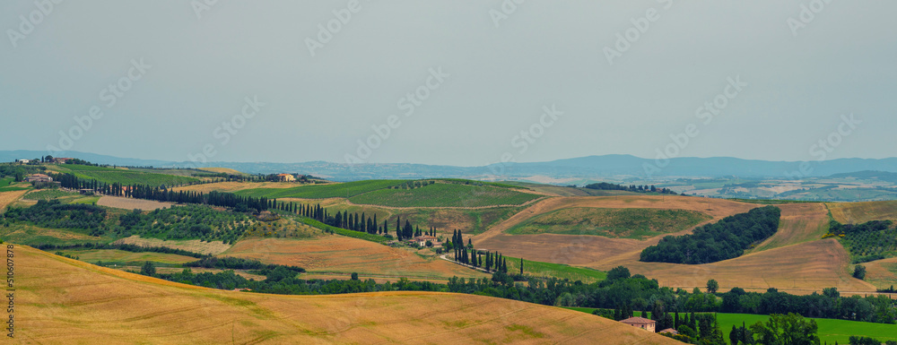 Traditional countryside and landscapes of beautiful Tuscany. Fields in golden colors and cypresses. Holiday, traveling concept. Agro tour of Europe. Vintage tone filter effect with noise and grain.
