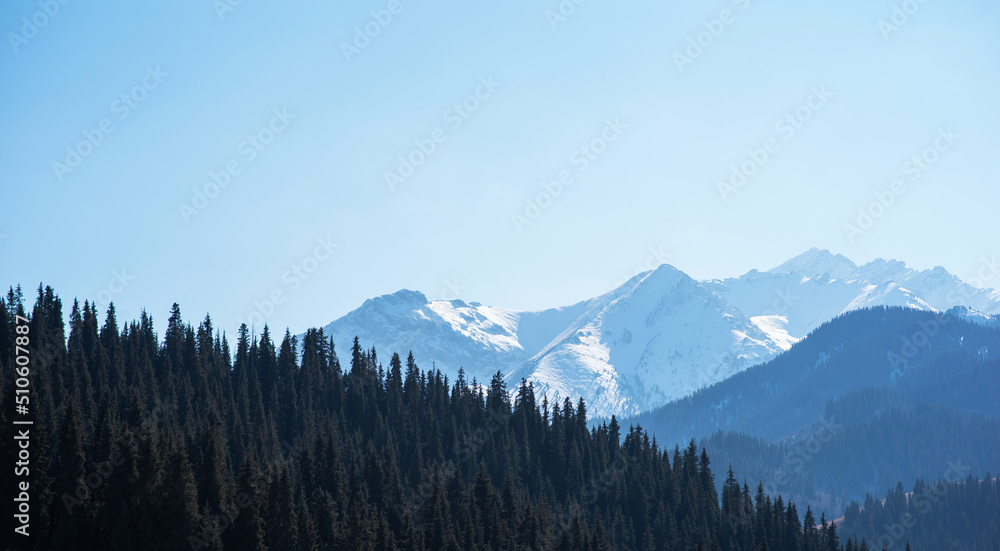 Mountain range with visible silhouettes through the morning fog. The slopes of the mountains are covered with spruce forest. Beauty of wild nature.