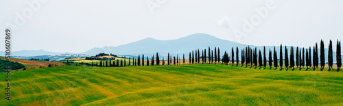 Traditional countryside and landscapes of beautiful Tuscany. Fields in golden colors and cypresses. Holiday  traveling concept. Agro tour of Europe. Vintage tone filter effect with noise and grain.