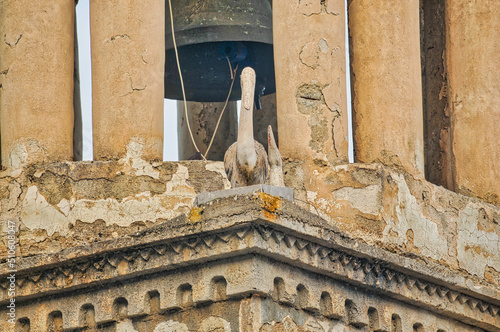 Church in Trikala korinthias in Peloponnese photo