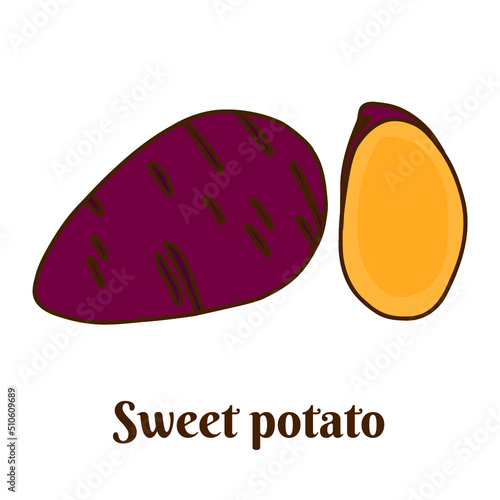 Sweet potato. Hand drawn flat vector illustration isolated on white background