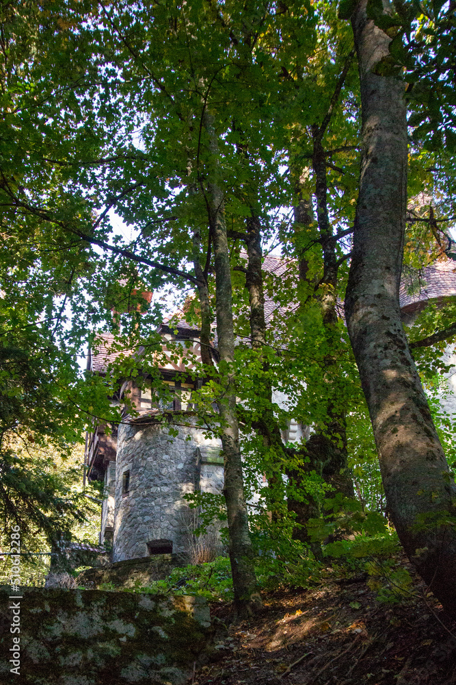 Fototapeta premium old stone tower visible truth forest