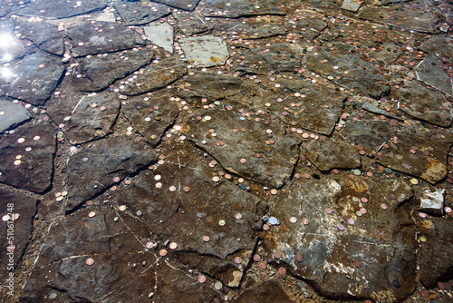 Old pool with coins in palace garden