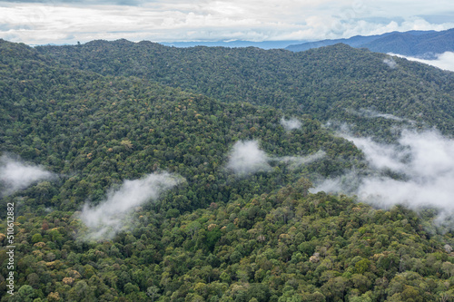 Aerial Drone image of Beautiful deep green rainforest jungle of Sabah, Borneo. 