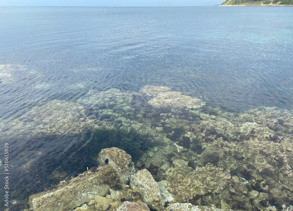 Underwater vegetation seen in clear water. rocky coast. Aegean region. view from the top