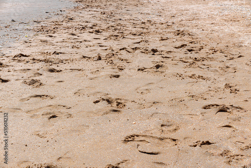 Summer sea beach with multiple human footprints.