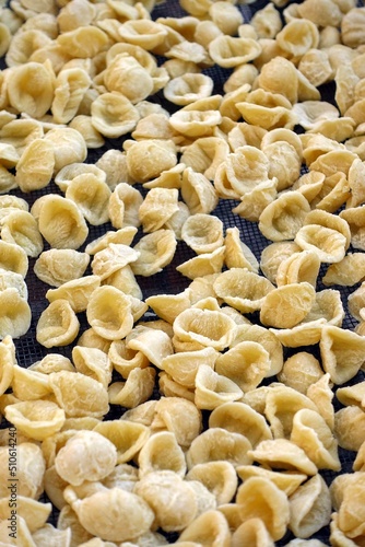 Close-up image of fresh handmade Apulian orecchiette pasta. Typical Italian pasta recipe