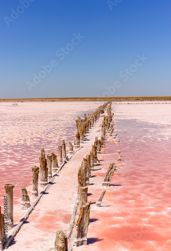 The pink lake is a beautiful landscape, unusual nature.