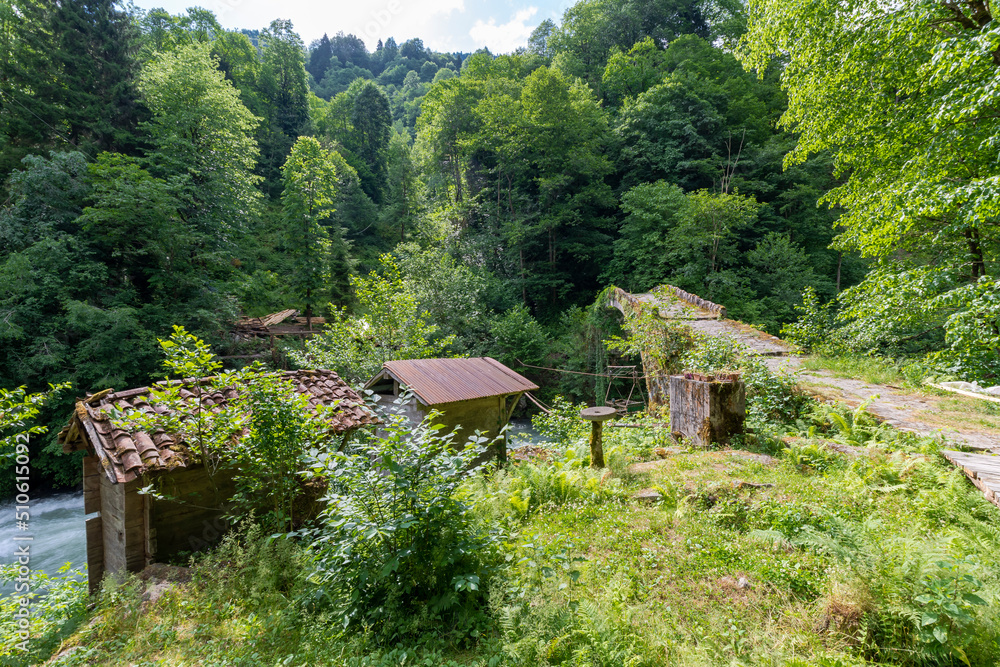 Obraz premium Firtina Stream view in Rize Province of Turkey