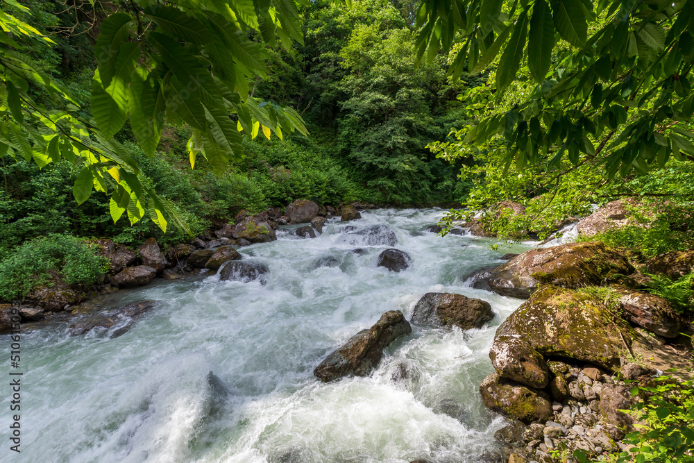 Firtina Stream view in Rize Province of Turkey Firtina Stream view in Rize Province of Turkey