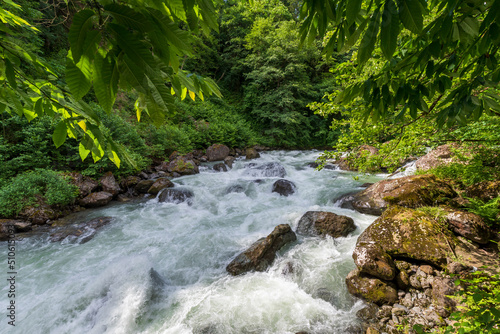 Firtina Stream view in Rize Province of Turkey