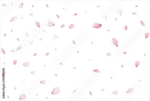 Cherry petals backdrop. Sakura petals background.